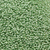 15/o Japanese Seed Beads Permanent P483 - Beads Gone Wild