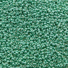 15/o Japanese Seed Beads Permanent P484 - Beads Gone Wild