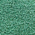 15/o Japanese Seed Beads Permanent P484 - Beads Gone Wild
