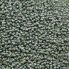 15/o Japanese Seed Beads Permanent P487 - Beads Gone Wild