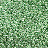15/O Japanese Seed Beads Permanent P493 - Beads Gone Wild