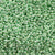 15/O Japanese Seed Beads Permanent P493 - Beads Gone Wild
