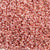 15/O Japanese Seed Beads Permanent P494 - Beads Gone Wild
