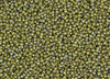 11/o Japanese Seed Bead 2631F Semi-Glazed - Beads Gone Wild