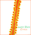 Lacey Days Bracelet Bead Weaving Kit