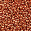 11/o Japanese Seed Bead D4207 Duracoat - Beads Gone Wild