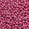 11/o Japanese Seed Bead D4210 Duracoat - Beads Gone Wild