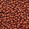 11/o Japanese Seed Bead D4212 Duracoat - Beads Gone Wild