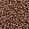 11/o Japanese Seed Bead D4213 Duracoat - Beads Gone Wild