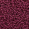 11/o Japanese Seed Bead D4219 Duracoat - Beads Gone Wild