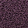 11/o Japanese Seed Bead D4220 Duracoat - Beads Gone Wild