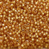 11/o Japanese Seed Bead D4231 Duracoat - Beads Gone Wild