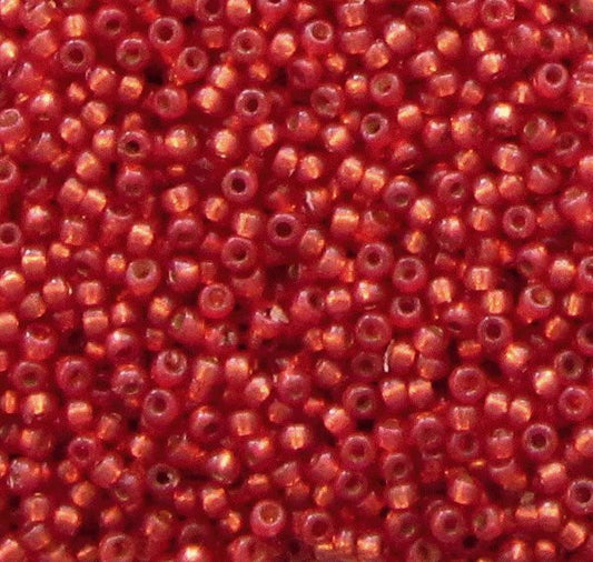 11/o Japanese Seed Bead D4234 Duracoat - Beads Gone Wild
