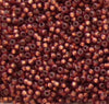 11/o Japanese Seed Bead D4245 Duracoat - Beads Gone Wild