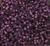 11/o Japanese Seed Bead D4248 Duracoat - Beads Gone Wild