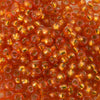 11/o Japanese Seed Bead D4264 Duracoat - Beads Gone Wild