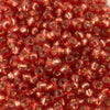 11/o Japanese Seed Bead D4265 Duracoat - Beads Gone Wild