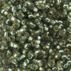 11/o Japanese Seed Bead D4274 Duracoat - Beads Gone Wild