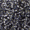 11/o Japanese Seed Bead D4276 Duracoat - Beads Gone Wild