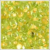 dpf-27 Apricot Lined Chartreuse 3.4mm 3" Tube Approx. 13 grams - Beads Gone Wild
