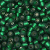 11/o Japanese Seed Bead F0016A Frosted - Beads Gone Wild