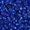 11/o Japanese Seed Bead F0032 npf Frosted - Beads Gone Wild