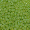 11/o Japanese Seed Bead F0258 Frosted - Beads Gone Wild