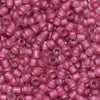 11/o Japanese Seed Bead F0395 Frosted - Beads Gone Wild