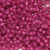 11/o Japanese Seed Bead F0399D Frosted - Beads Gone Wild
