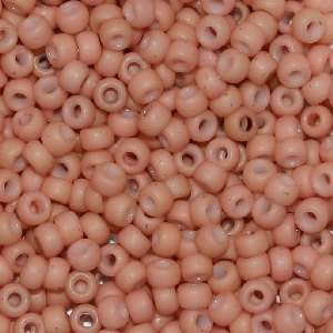 11/o Japanese Seed Bead F0400B Frosted - Beads Gone Wild
