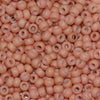 11/o Japanese Seed Bead F0400B Frosted - Beads Gone Wild