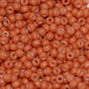 11/o Japanese Seed Bead F0403B npf Frosted - Beads Gone Wild