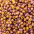 11/o Japanese Seed Bead F0462v Frosted - Beads Gone Wild
