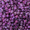 11/o Japanese Seed Bead F0462x Frosted - Beads Gone Wild