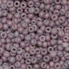 11/o Japanese Seed Bead F0463L Frosted - Beads Gone Wild