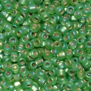 11/o Japanese Seed Bead F0644 Frosted - Beads Gone Wild
