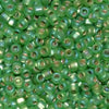 11/o Japanese Seed Bead F0644 Frosted - Beads Gone Wild