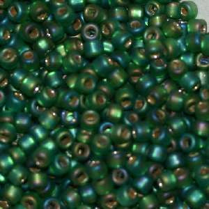 11/o Japanese Seed Bead F0646 Frosted - Beads Gone Wild
