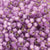 11/o Delica DB 2182 Lilac   S/F S/L Dura Coat