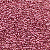 11/o Japanese Seed Bead P0476 Permanent - Beads Gone Wild