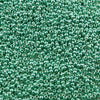 11/o Japanese Seed Bead P0484 Permanent - Beads Gone Wild