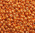 11/o Japanese Seed Bead P0486 Permanent - Beads Gone Wild
