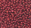 11/o Japanese Seed Bead P0489 Permanent - Beads Gone Wild