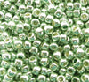 11/o Japanese Seed Bead P0493 Permanent - Beads Gone Wild